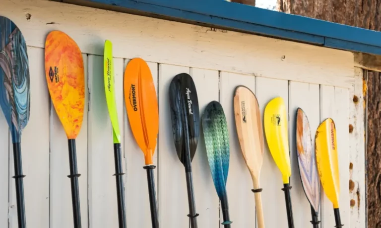 Kayak Paddle Size Chart: Find Your Ideal Paddle Length