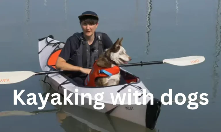 Kayaking With Dogs: 5 Easy steps of kayaking