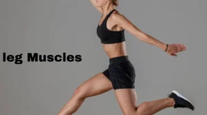LEG AND HIP MUSCLES