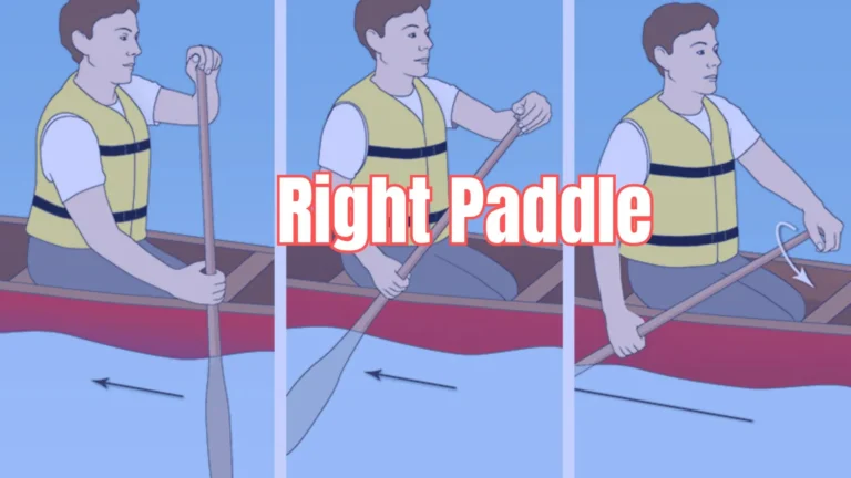 How To Choose The Right Canoe Paddle
